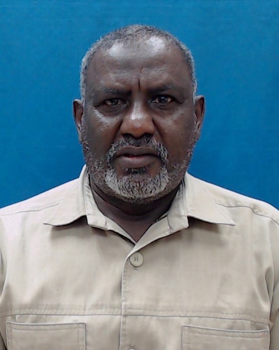 Mohamed Ahmed Hamed Ahmed Ali