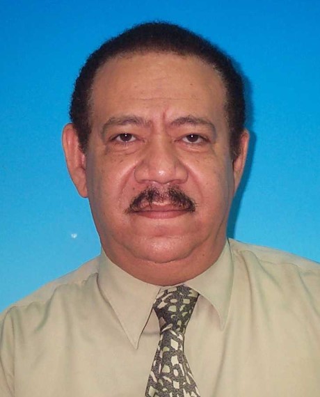 Nasr El Din Ibrahim Ahmed Hussein
