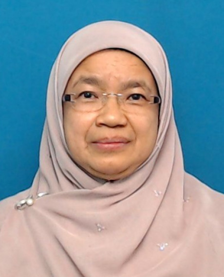 Noraini Bt Mohd Ariffin