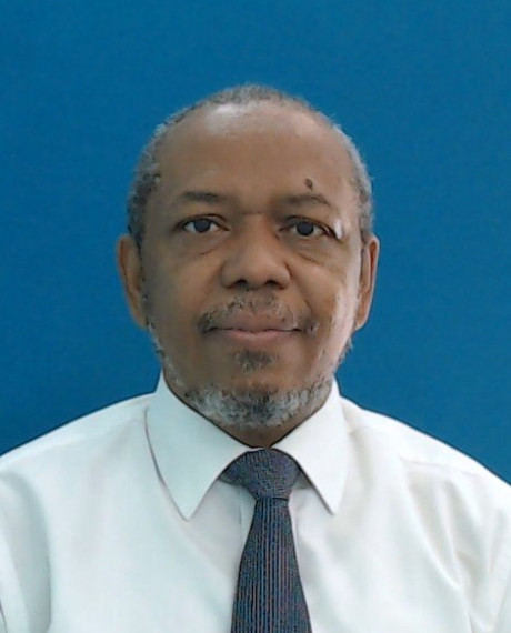 Nassereldeen Ahmed Kabbashi