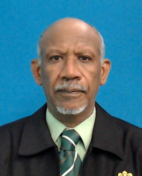 Mohamed Elwathig Saeed Mirghani