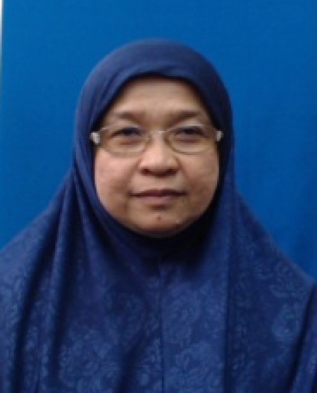 Najibah Bt Mohd. Zin