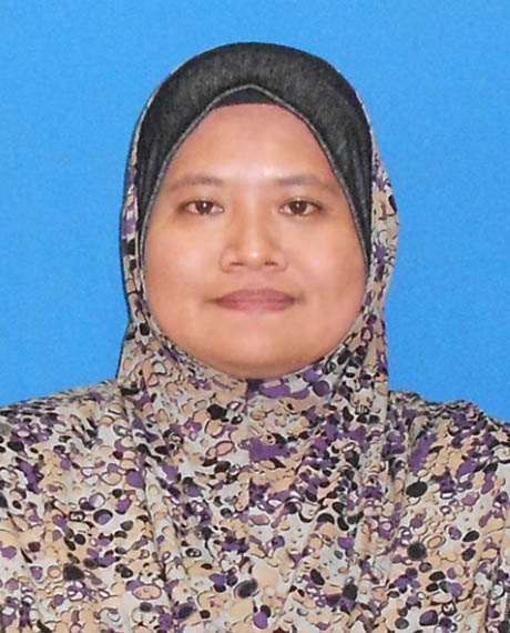 Siti Nur Zailyn Mohammed Hasnul