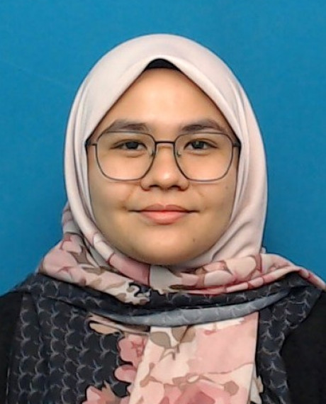 Idzni Amin Binti Mohamed Amin